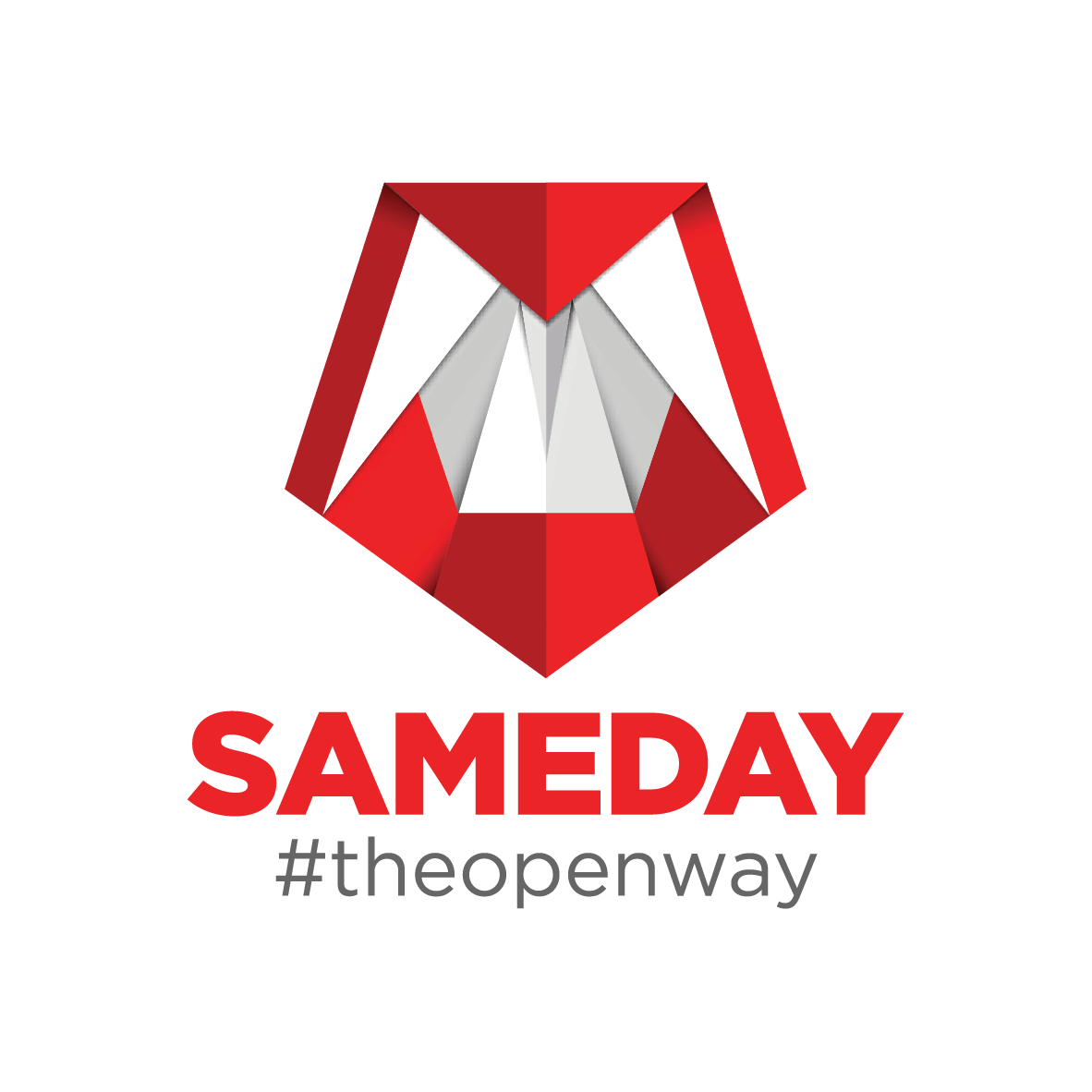 Sameday Courier Logo
